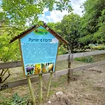 منزل ريفي Quinta Do Castelo - Casa De Madeira *