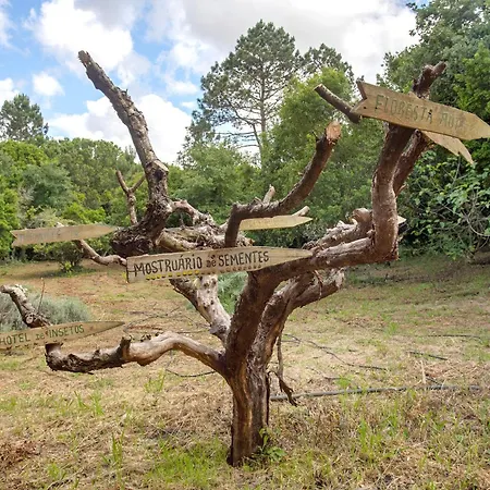 Quinta Do Castelo - Casa De Madeira Landhaus Reguengo Grande