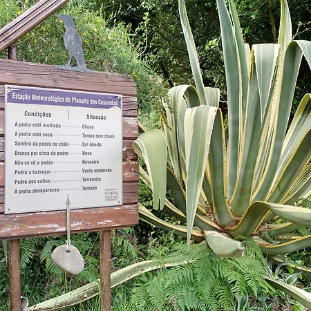 Villa Quinta Do Castelo - Casa De Madeira
