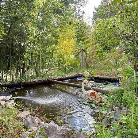 Landhaus Quinta Do Castelo - Casa De Madeira *