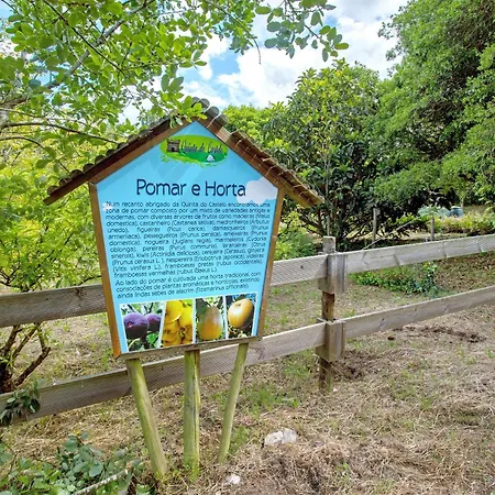 Quinta Do Castelo - Casa De Madeira *